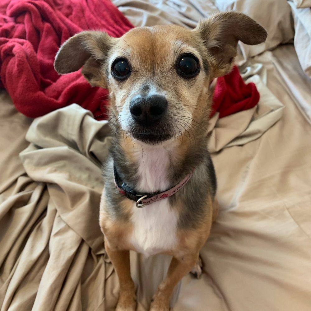 Meet your Posher, Linda